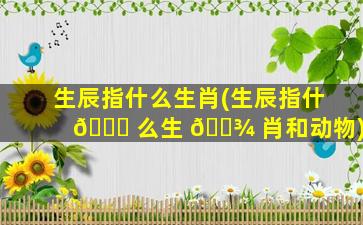 生辰指什么生肖(生辰指什 🐘 么生 🌾 肖和动物)